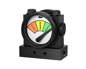 DPP975 The DPP975’s simple modular design allows the gauge to accommodate many different options.
